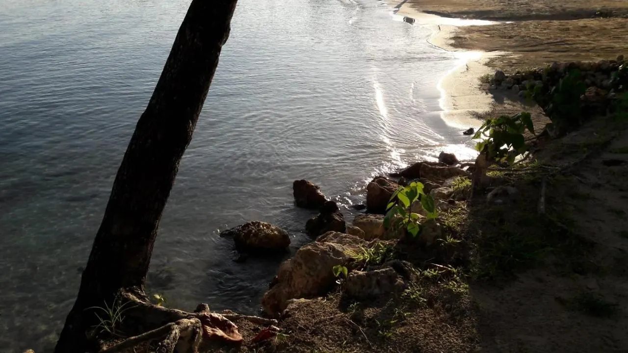 Sand Castle Resort Ocho Rios Jamaica