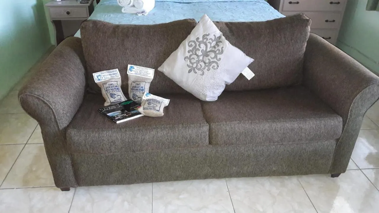 Apartment Sand Castle Resort Ocho Rios